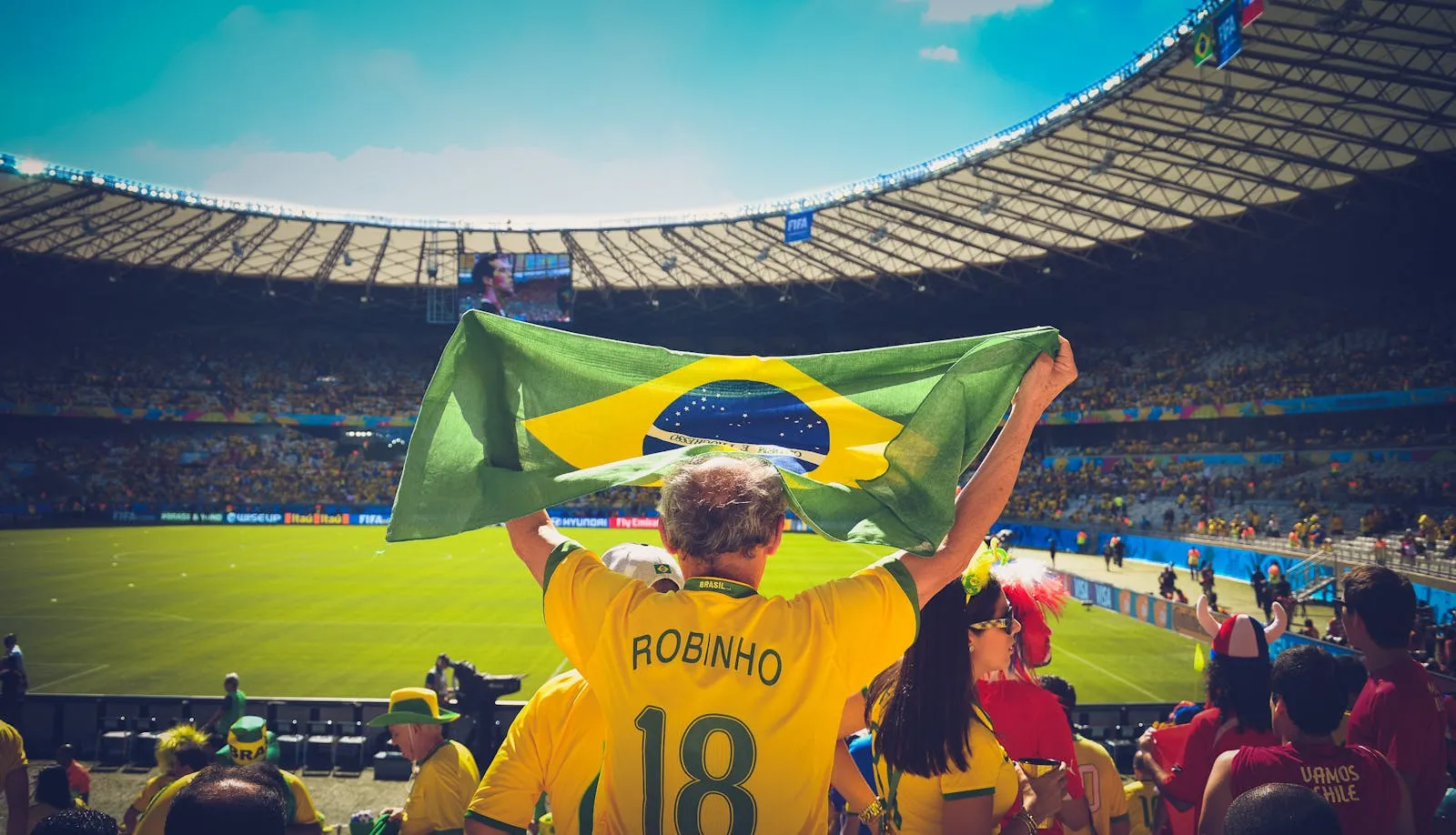A Brazil supporter holds the national flag in a packed stadium — Seleção ahead of the 2026 World Cup